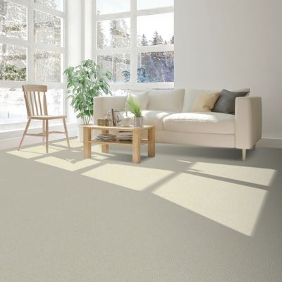 carpets in a London, ON, living room